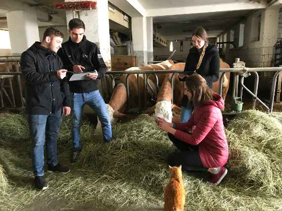 Michael Haslinger, Andreas Danner, Natalie Illetschko und Agnes Gschöpf mit den Technologieeinsatzmöglichkeiten am Betrieb der HLBA Elmberg