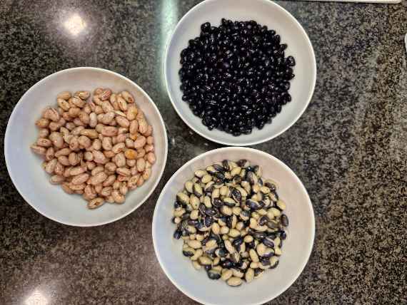 Bild von den drei Bohnensorten – Dalmatin, Borlotto und Black Turtle