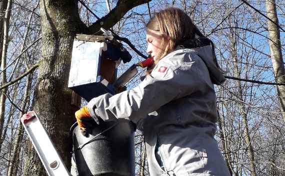 Nistkästen im Bereich des Waldlehrpfades 