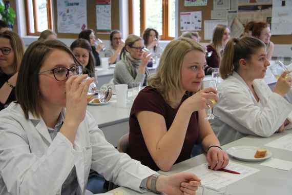 Saft- und Mostsensorik
