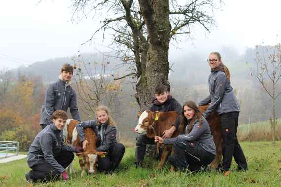 Schülerinnen und Schüler mit Kälbern