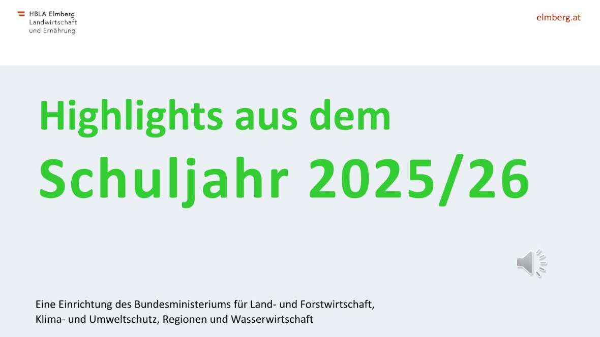 Highlights des Schuljahres 2025-26