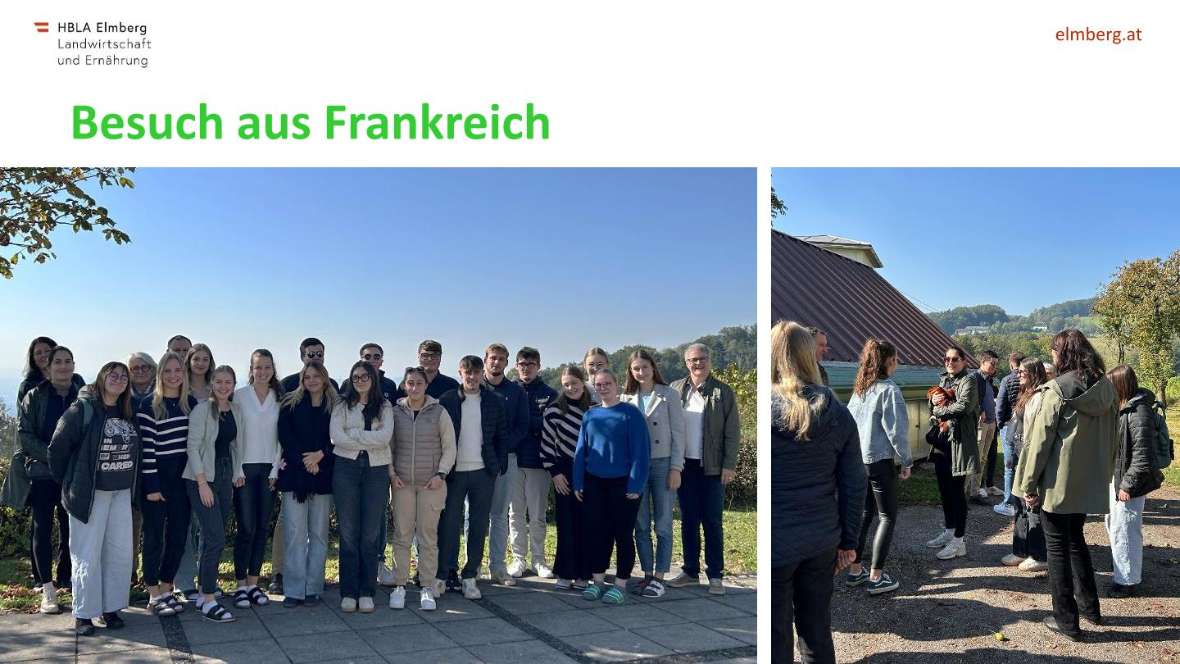 Highlights des Schuljahres 2025-26