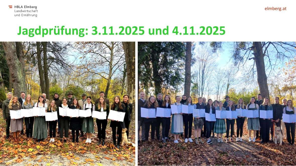 Highlights des Schuljahres 2025-26