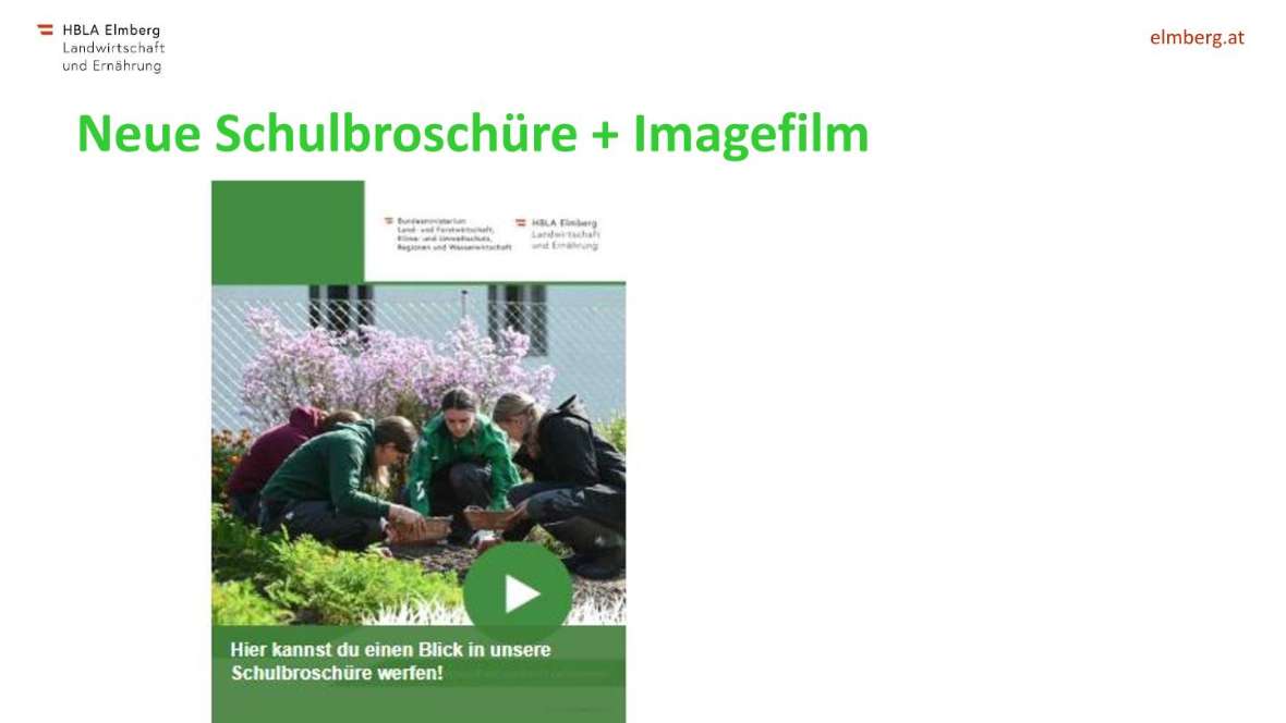 Highlights des Schuljahres 2025-26