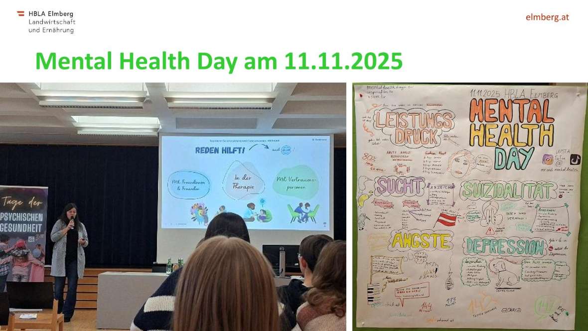 Highlights des Schuljahres 2025-26