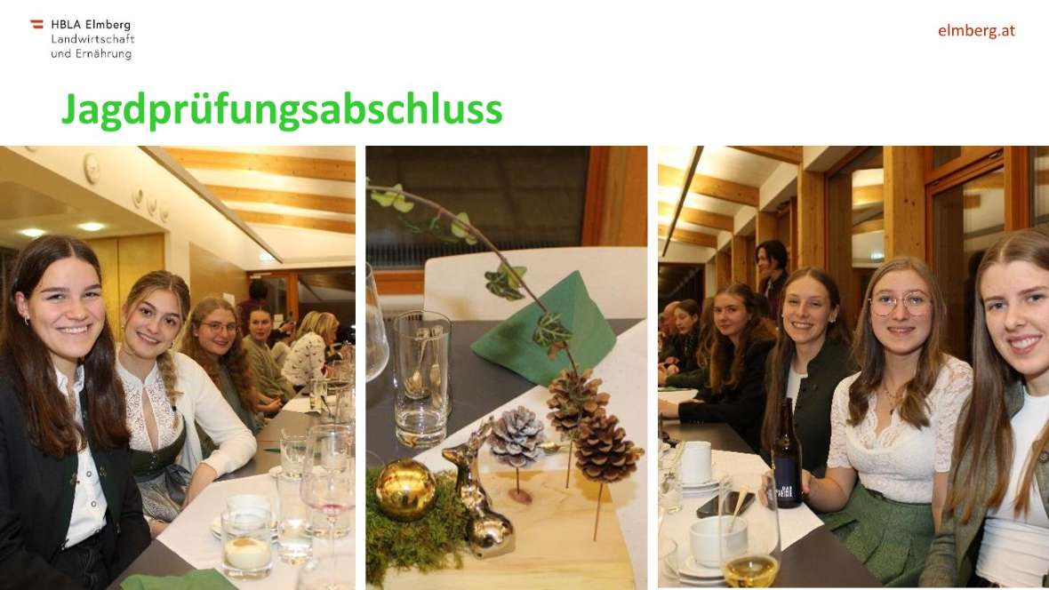 Highlights des Schuljahres 2025-26