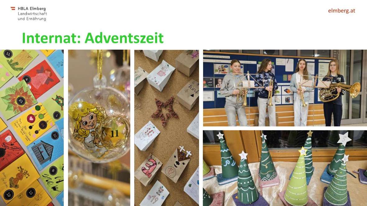 Highlights des Schuljahres 2025-26