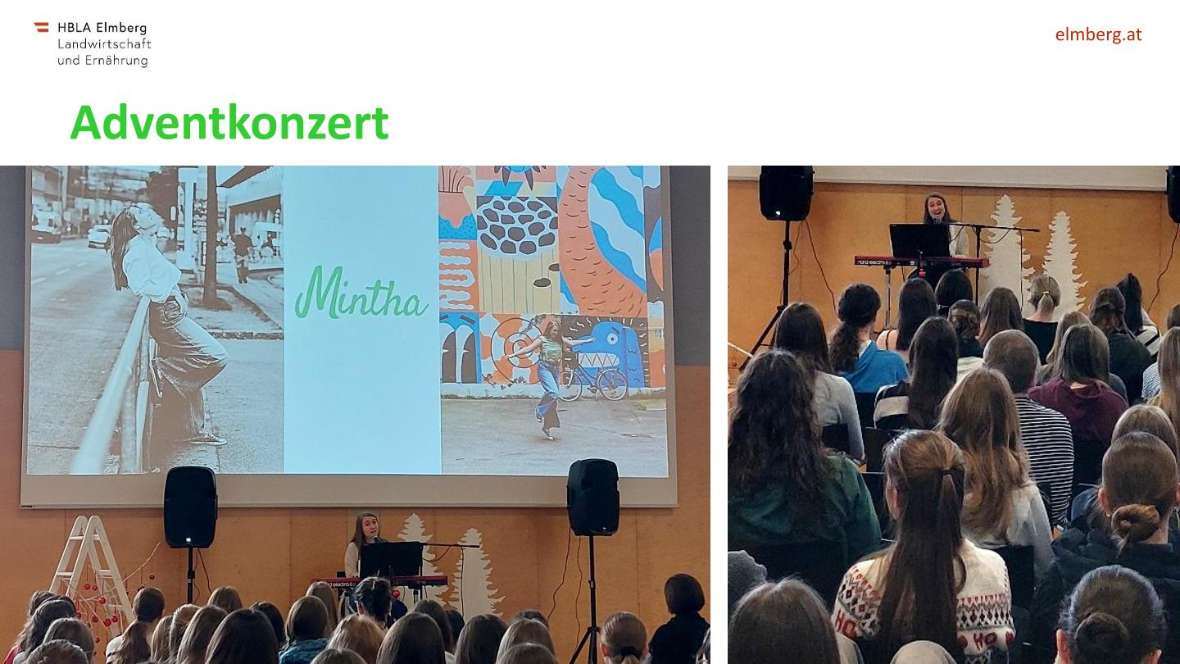 Highlights des Schuljahres 2025-26