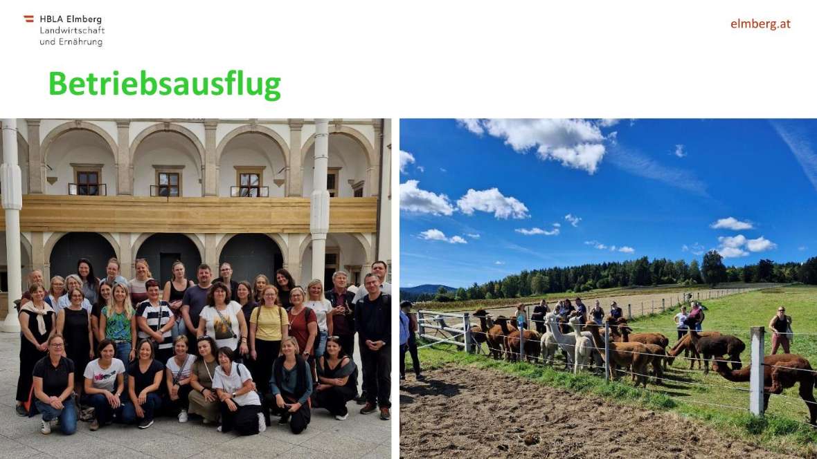 Highlights des Schuljahres 2025-26
