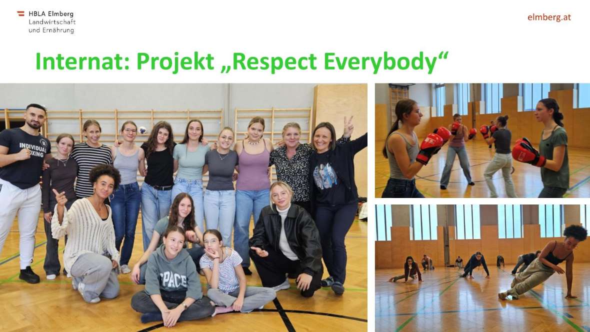 Highlights des Schuljahres 2025-26