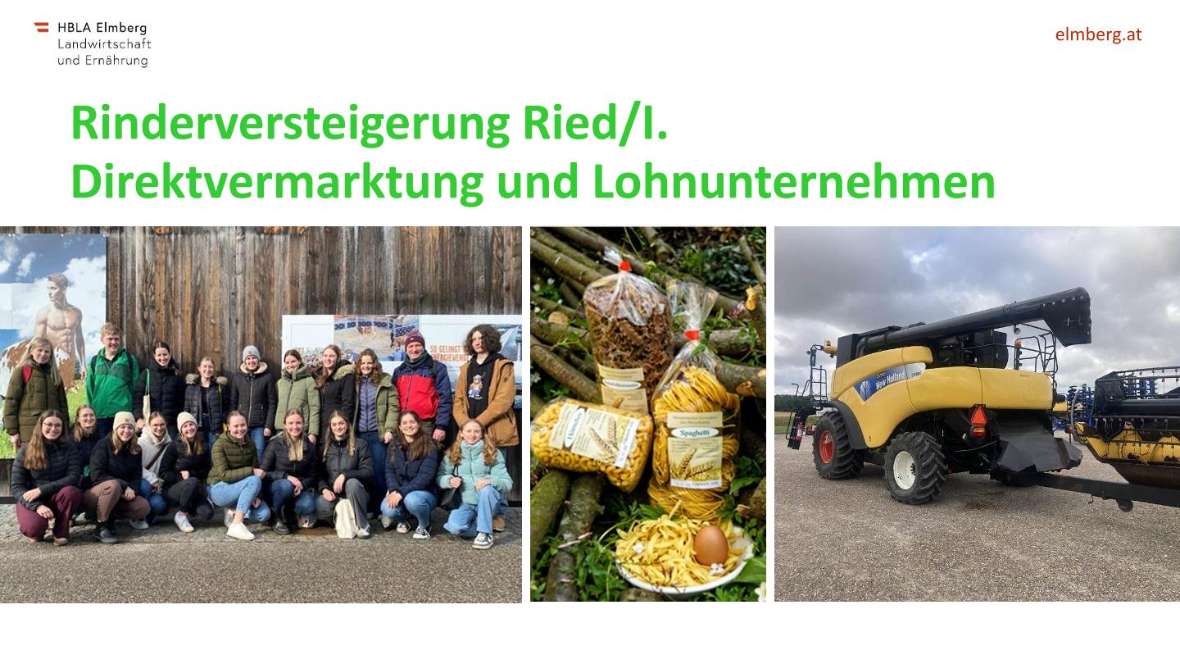 Highlights des Schuljahres 2025-26