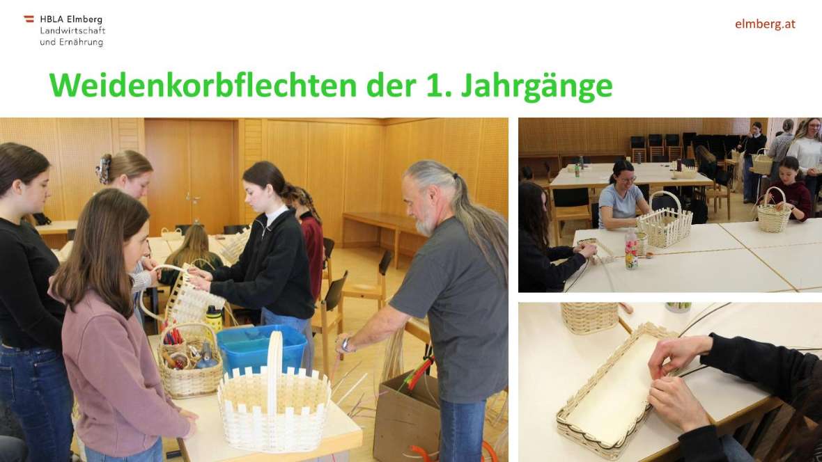 Highlights des Schuljahres 2025-26