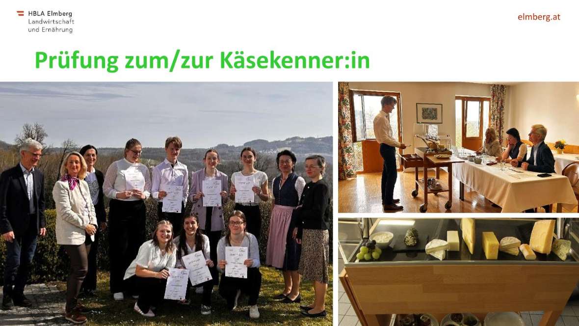 Highlights des Schuljahres 2025-26