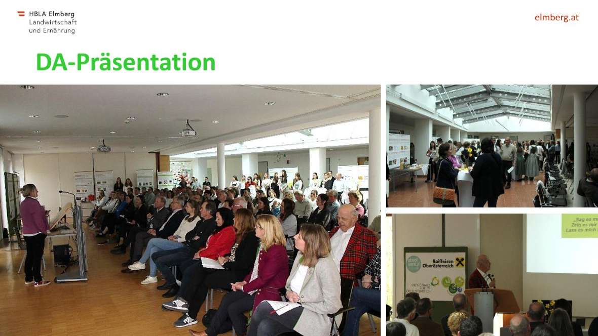 Highlights des Schuljahres 2025-26
