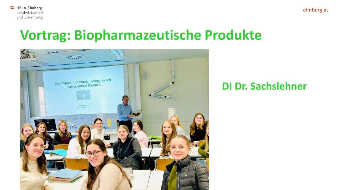 Highlights des Schuljahres 2025-26