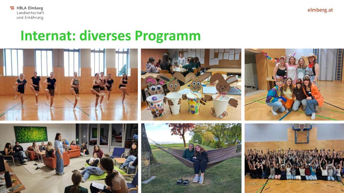 Highlights des Schuljahres 2025-26