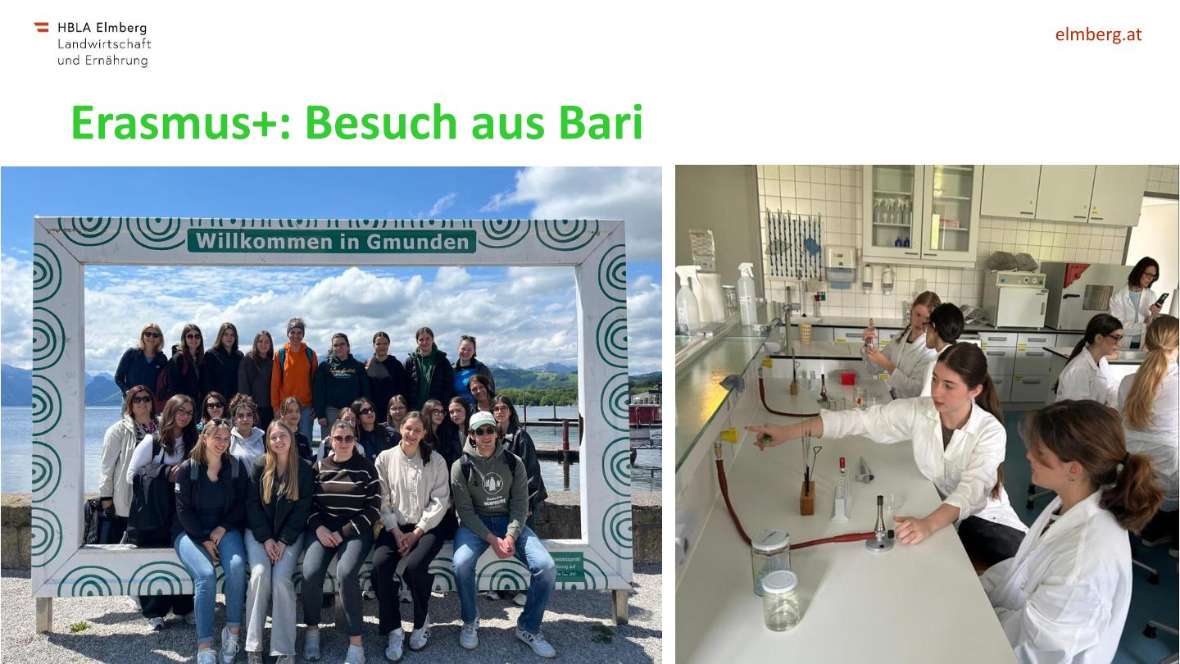 Highlights des Schuljahres 2025-26