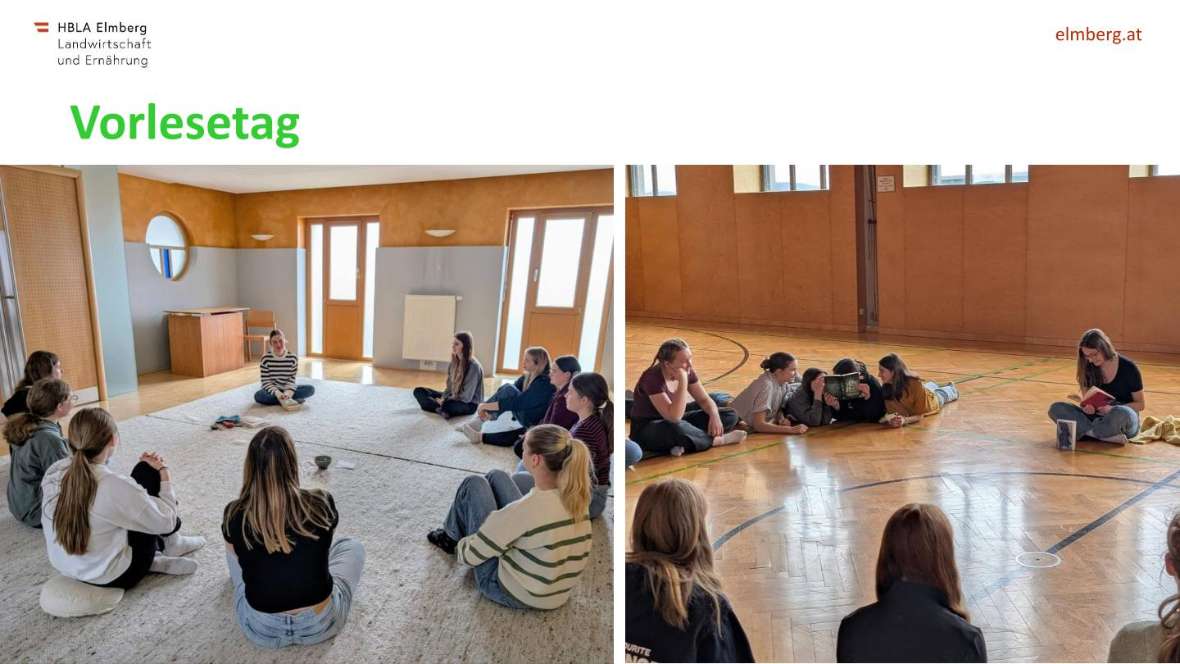 Highlights des Schuljahres 2025-26