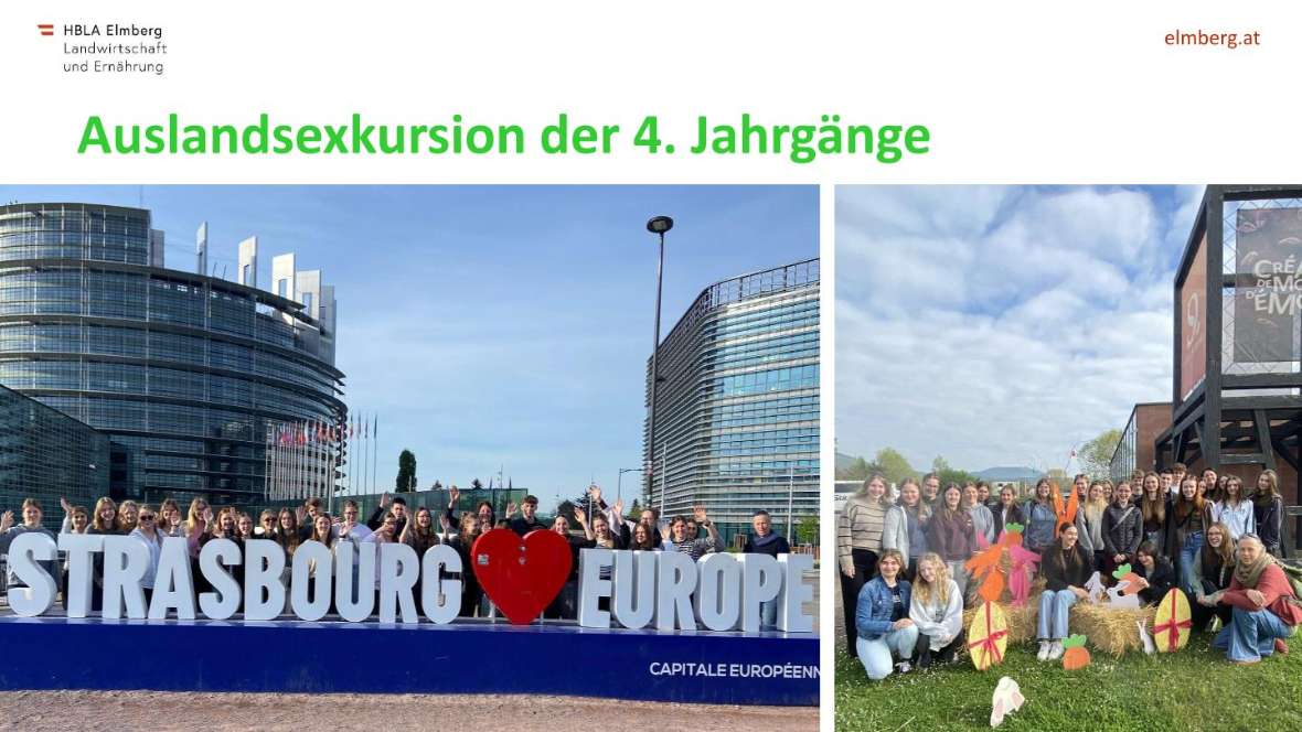 Highlights des Schuljahres 2025-26
