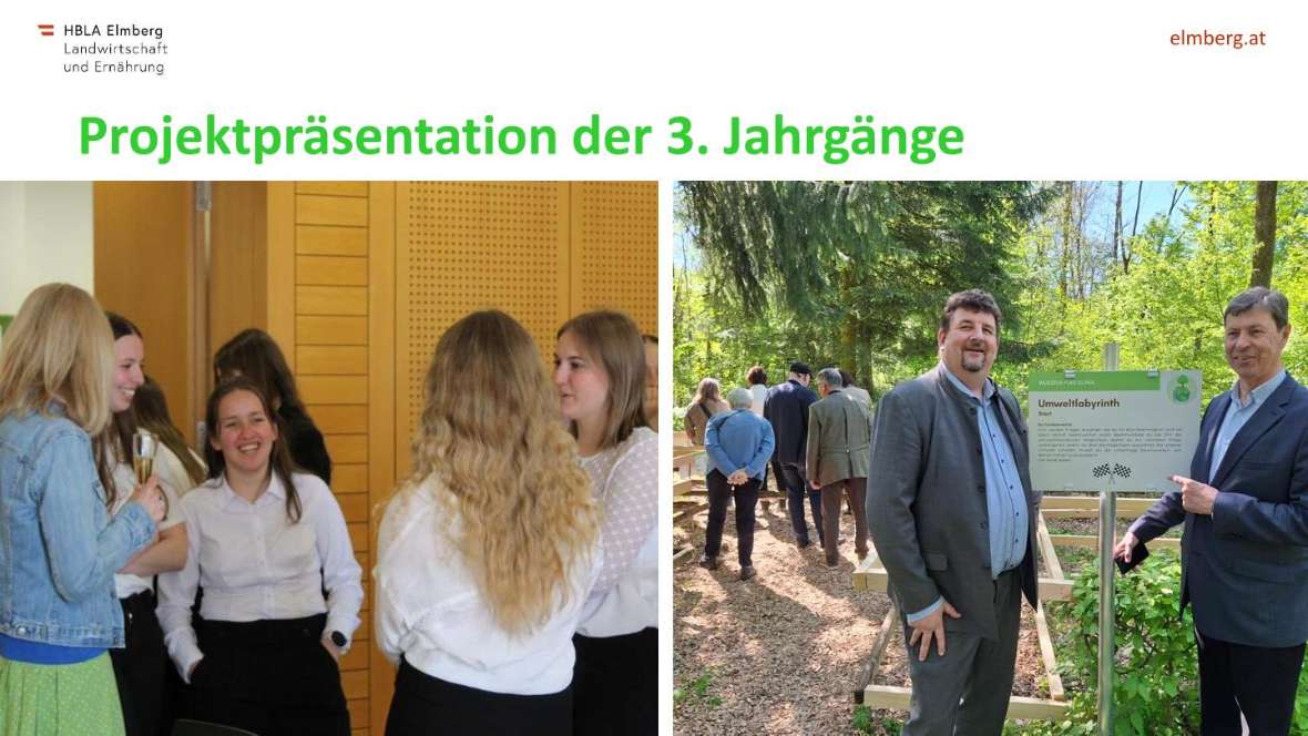 Highlights des Schuljahres 2025-26