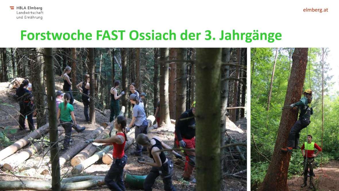 Highlights des Schuljahres 2025-26