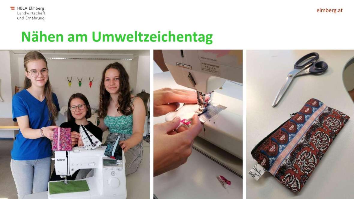 Highlights des Schuljahres 2025-26