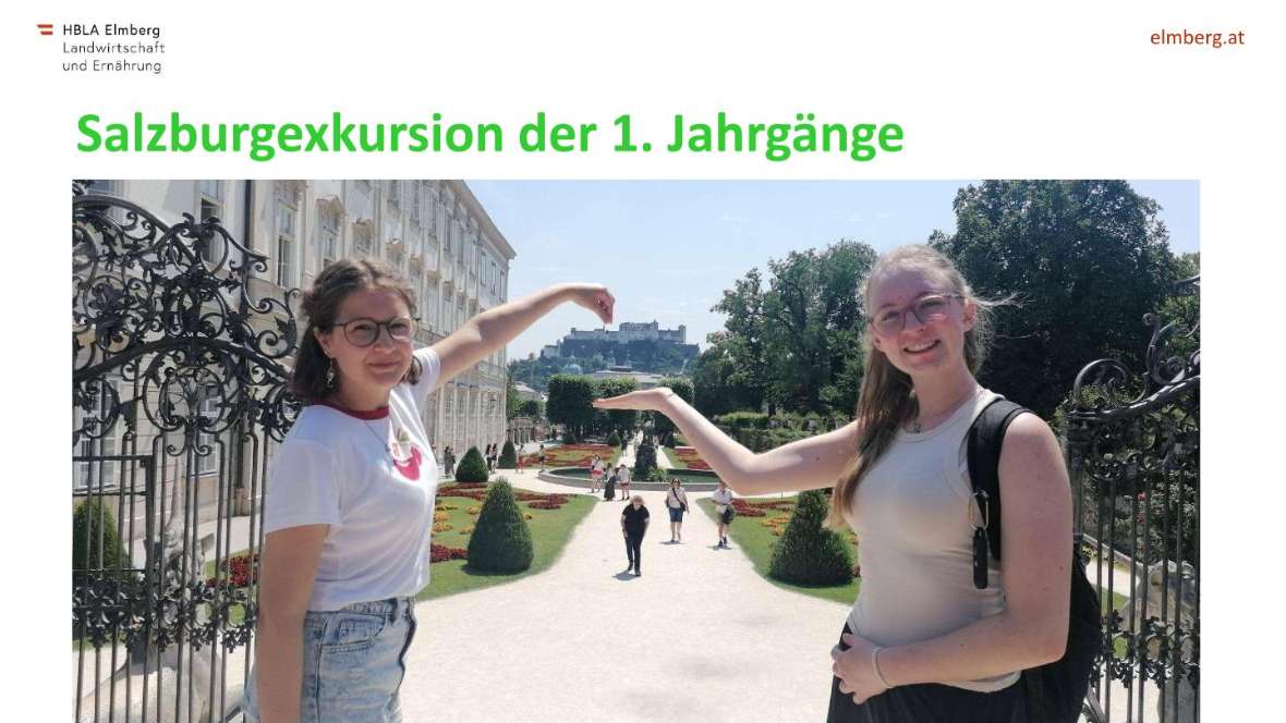 Highlights des Schuljahres 2025-26