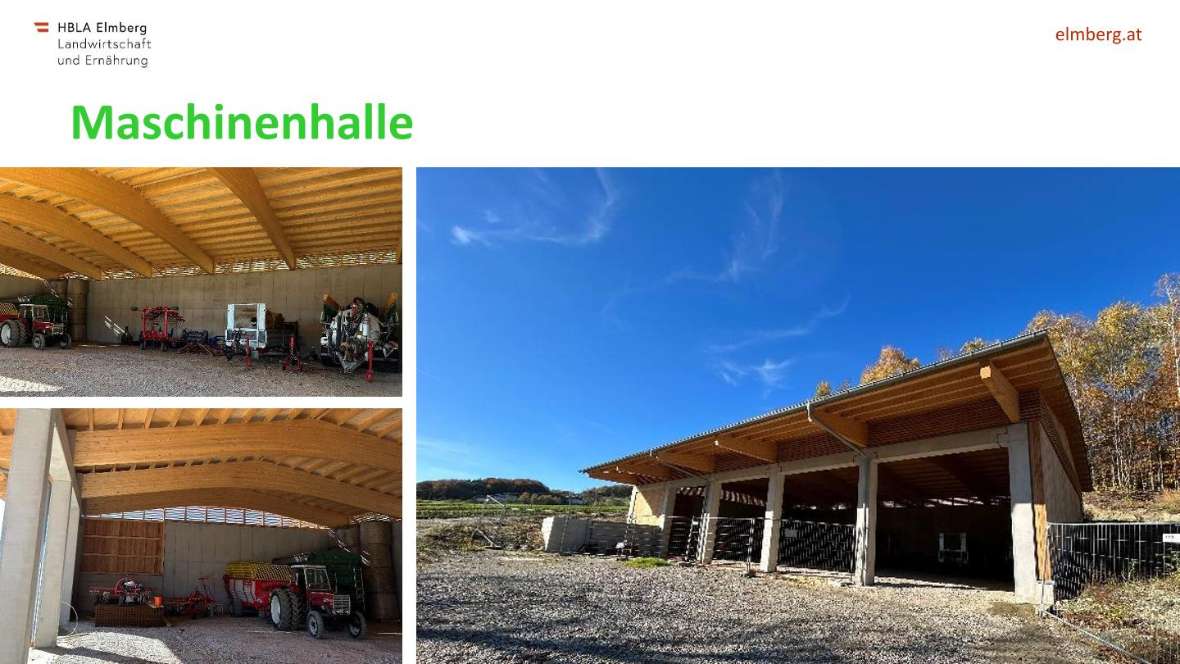 Highlights des Schuljahres 2025-26