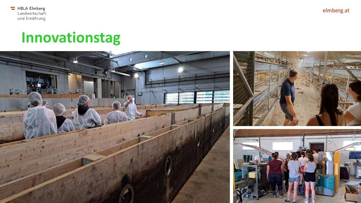 Highlights des Schuljahres 2025-26