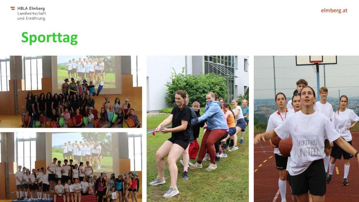 Highlights des Schuljahres 2025-26