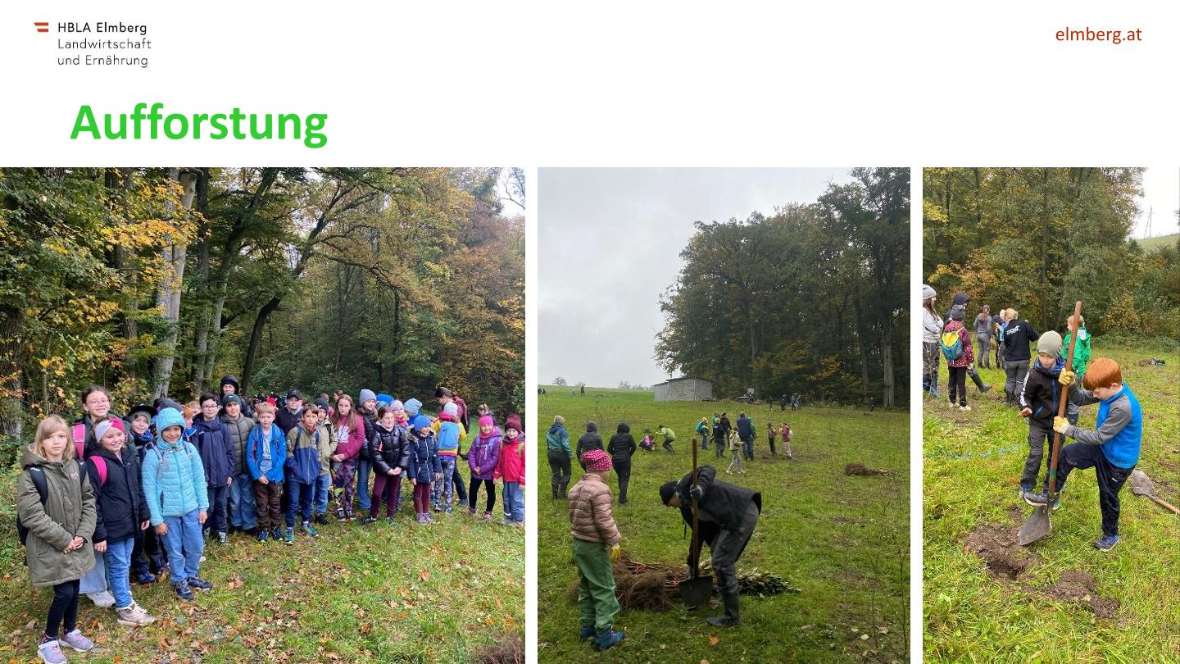 Highlights des Schuljahres 2025-26