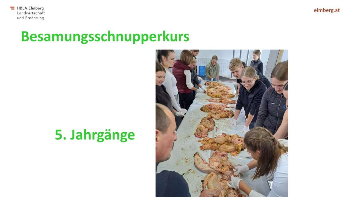 Highlights des Schuljahres 2025-26